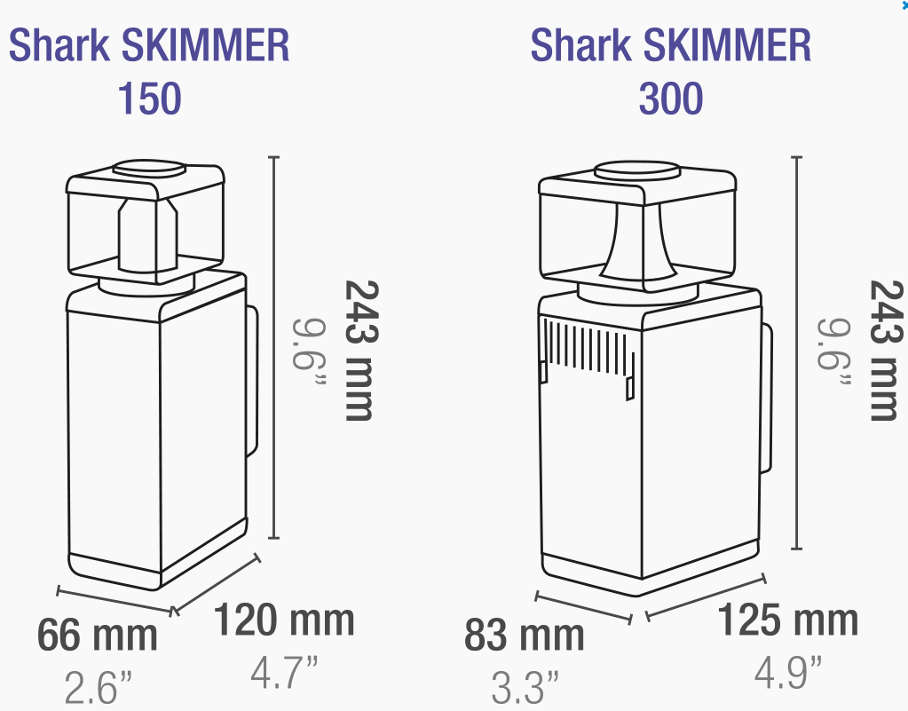 Skimmer Shark Sicce