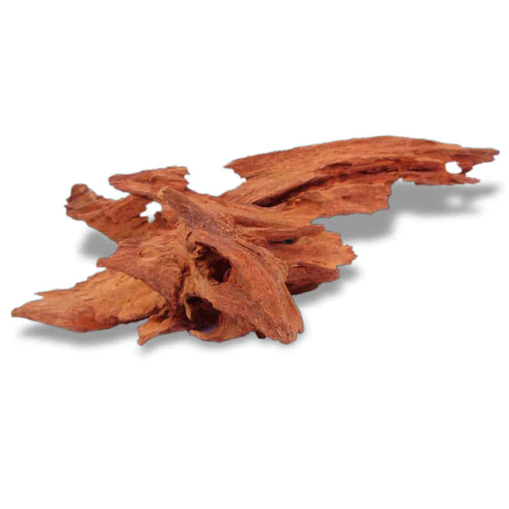 BluBios - Legno Jati Dragon Mangrovia Small 15-20cm circa
