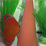JBL - Discon - Cono per Discus Deposizione