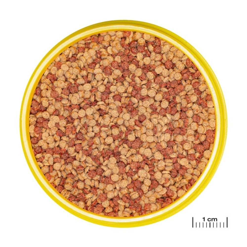 JBL - ProNovo Color Grano M - granulato per colori brillanti per tutti i pesci tropicali da 8 a 20 cm