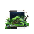 Juwel - Vio Cube 54 cm41x36x47h – Acquario completo 54 L