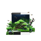 Juwel - Vio Cube 54 cm41x36x47h – Acquario completo 54 L