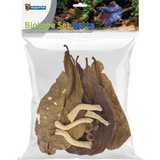 SuperFish - Biotope Set Betta per ricreare il biotopo adatto ai betta