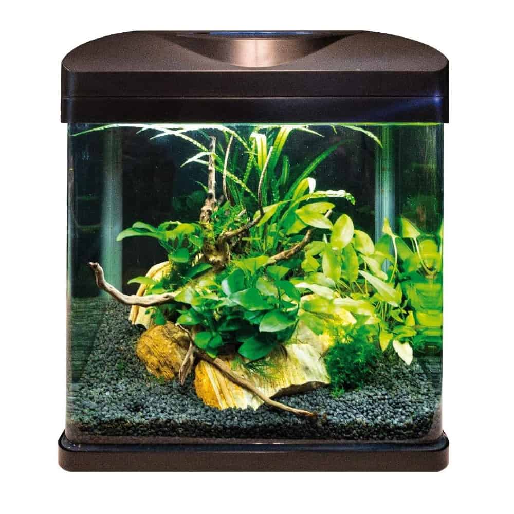 Amtra - Laguna Led 30 Black - Acquario 30x23,5x24,5 cm 18 litri