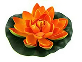 DieDarkan - Lotus In Plastica Large