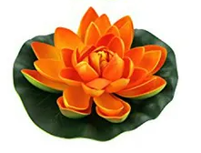 DieDarkan - Lotus In Plastica Large