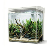 AQPet - Neya – Acquario da Scrivania 20x15x20 cm