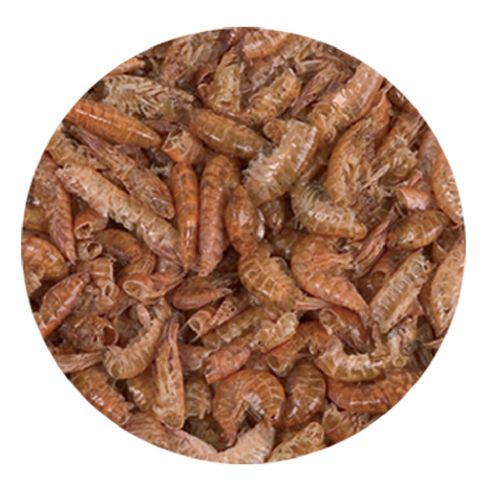 Blu Bios - Tartarù Gammarus 1lt 115gr