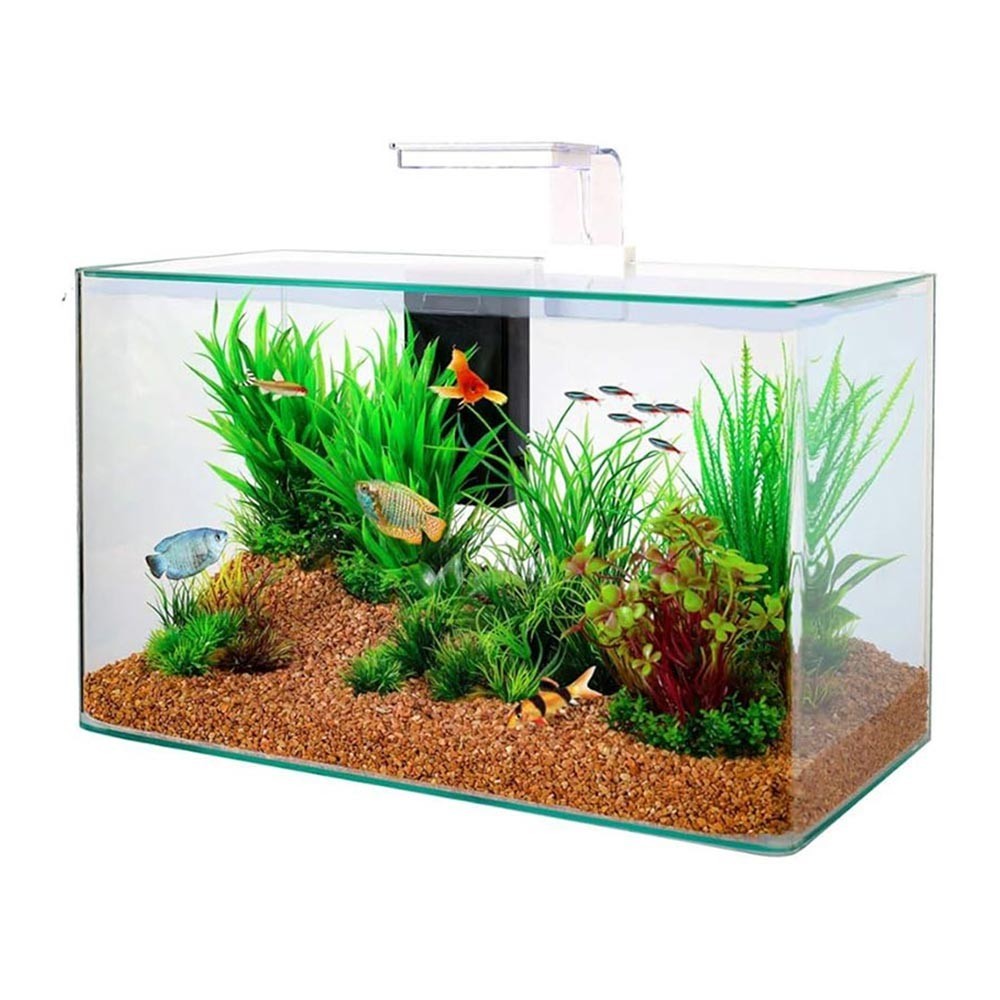Zolux- Clear 50 - Acquario 32L cm50x25x30h con filtro interno e plafoniera LED