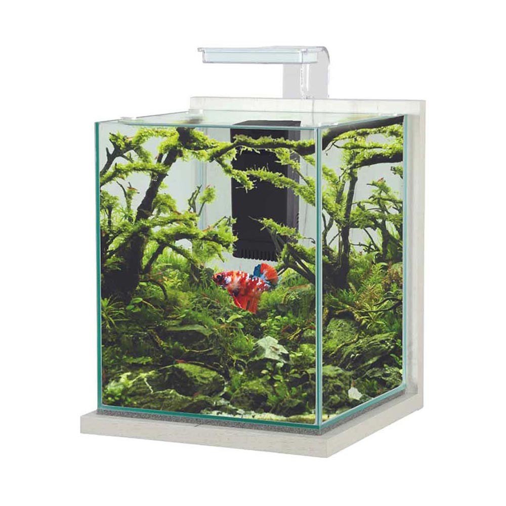Zolux - Jalaya XL 18,7L Acquario CERUSE BIANCO completo di filtro interno e plafoniera LED