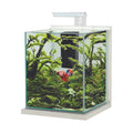 Zolux - Jalaya XXL Acquario 31,5L CERUSE BIANCO completo di filtro interno e plafoniera LED