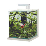 Zolux - Jalaya XXL Acquario 31,5L CERUSE BIANCO completo di filtro interno e plafoniera LED