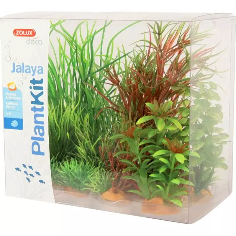 Zolux - Decor PlantKit Jalaya mod.4 - Piante Decorative Artificiali